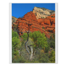 Sedona View 2