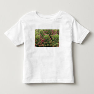 Sedum-Pflanze, Arizona-Sonora Desert Museum, Kleinkind T-shirt