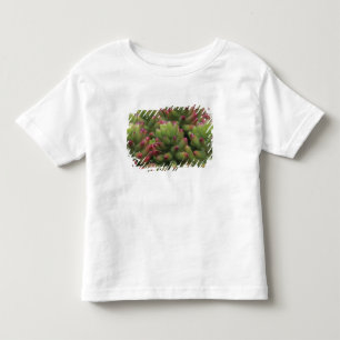 Sedum-Pflanze, Wüstenmuseum Arizona-Sonora, Kleinkind T-shirt