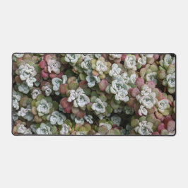 Sedum Spathulifolium Stonecrop Floral Schreibtischunterlage
