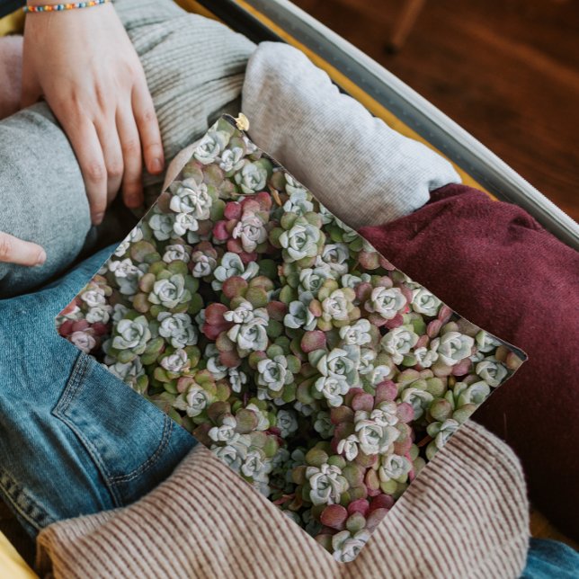 Sedum Spathulifolium Stonecrop Floral Zubehörtasche (In Situ)