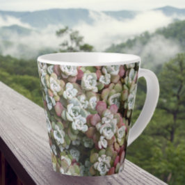 Sedum Spathulifolium Succules floral Milchtasse