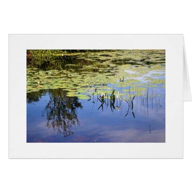 See Caroline (Vorderseite (Horizontal))