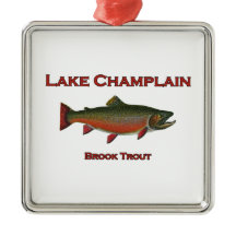 See Champlain Fischen-Bachforelle