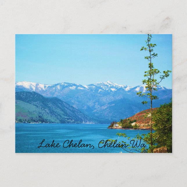 See Chelan Postkarte (Vorderseite)