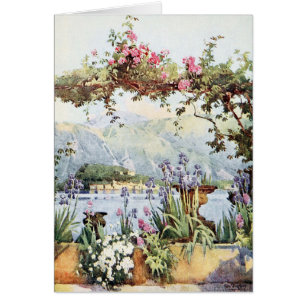 See Como Blumen