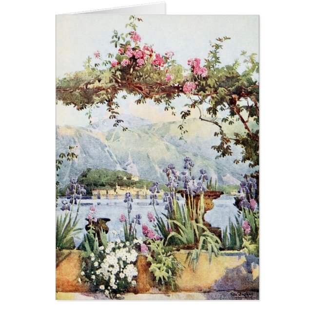 See Como Blumen (Vorne)