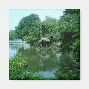 See im Central Park Magnet