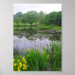See in Lawrence, Kansas Poster