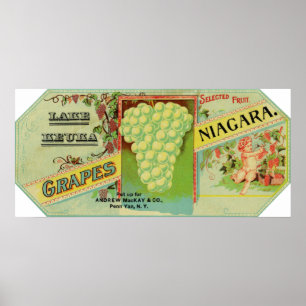 See Keuka Niagara Trauben-Aufkleber Poster