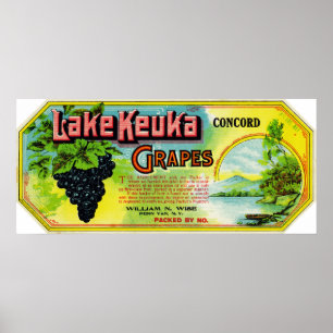 See Keuka Übereinstimmungs-Trauben-Aufkleber Poster