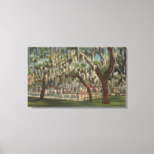 See Wales, FL - Ansicht im Freienvon Shuffleboard Leinwanddruck