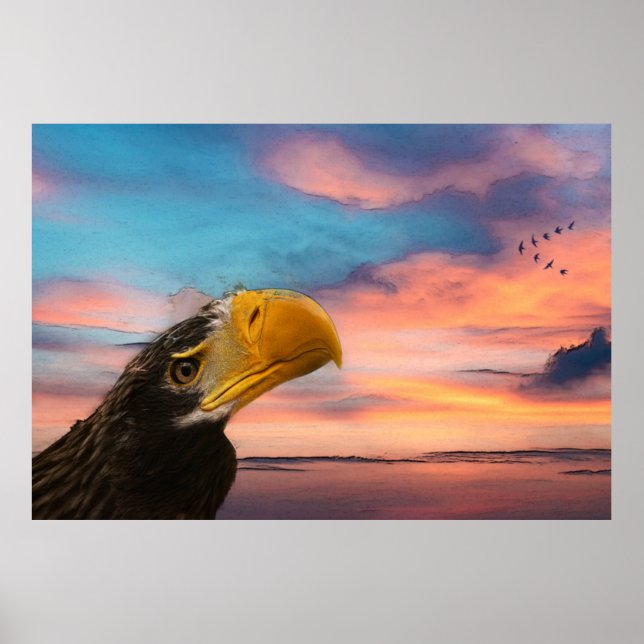 Seeadler Poster (Vorne)