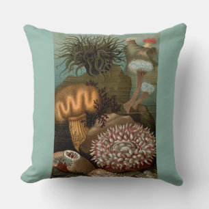 Seeanemone aus dem 19. Jahrhundert Kissen