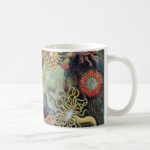 Seeanemone Ernst Haeckels Actiniaea Kaffeetasse