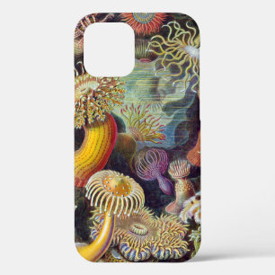 Seeanemone Wissenschaftliche Natur Ozean Case-Mate iPhone Hülle