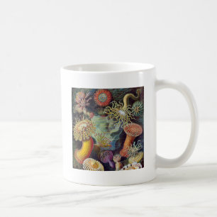 Seeanemone wissenschaftliche Natur Ozean Kaffeetasse
