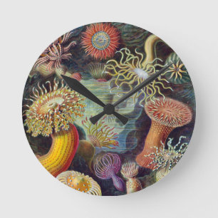 Seeanemone wissenschaftliche Natur Ozean Runde Wanduhr