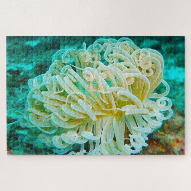 Seeanemonen (Horizontal)