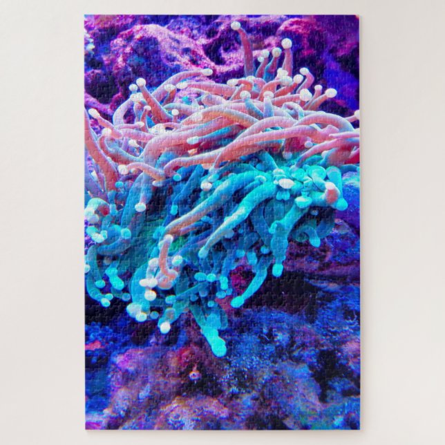 Seeanemonen (Vertikal)