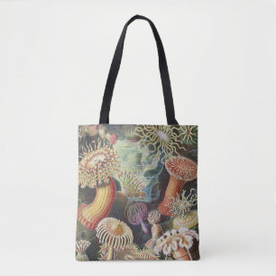 Seeanemonen, Actiniae Seeanemonen Ernst Haeckel Tasche