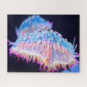 Seeanemonen Puzzle