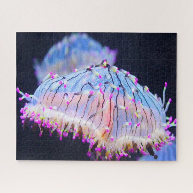 Seeanemonen Puzzle (Horizontal)