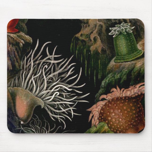 Seeanemonen-SeeMeereswelt Mousepad (Vorne)