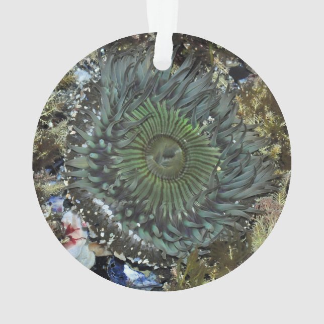 Seeanemonen-Weihnachtsverzierung Ornament (Rückseite)