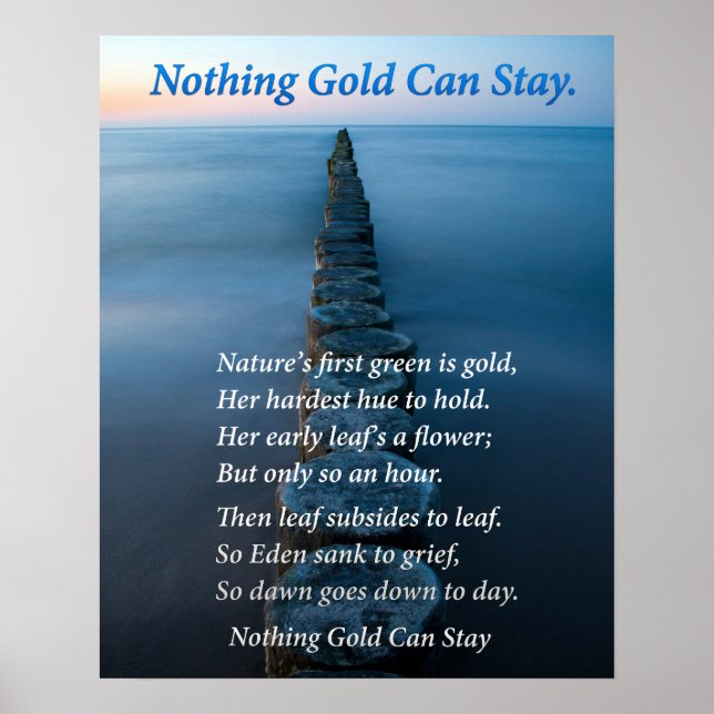 Seeblick Poster (Vorne)