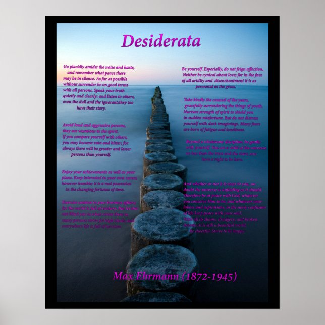 Seeblick Poster (Vorne)