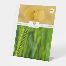 SEEBOOS SOCKELSCHILD