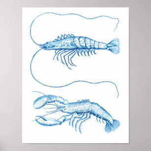 Seedekor der Küstenkunst-blauer Krebstier-No.6 Poster