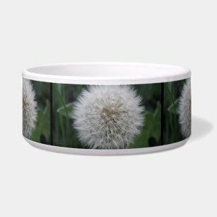 Seeding Dandelion Blume Dog Bowl Napf