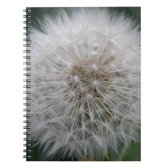 Seeding Dandelion Blume Notebook Notizblock (Vorderseite)