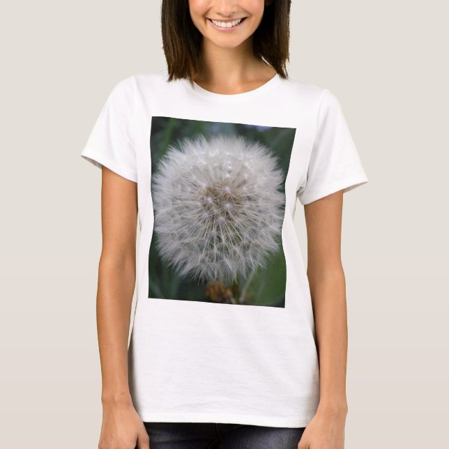 Seeding Dandelion Blume T Shirt (Vorderseite)