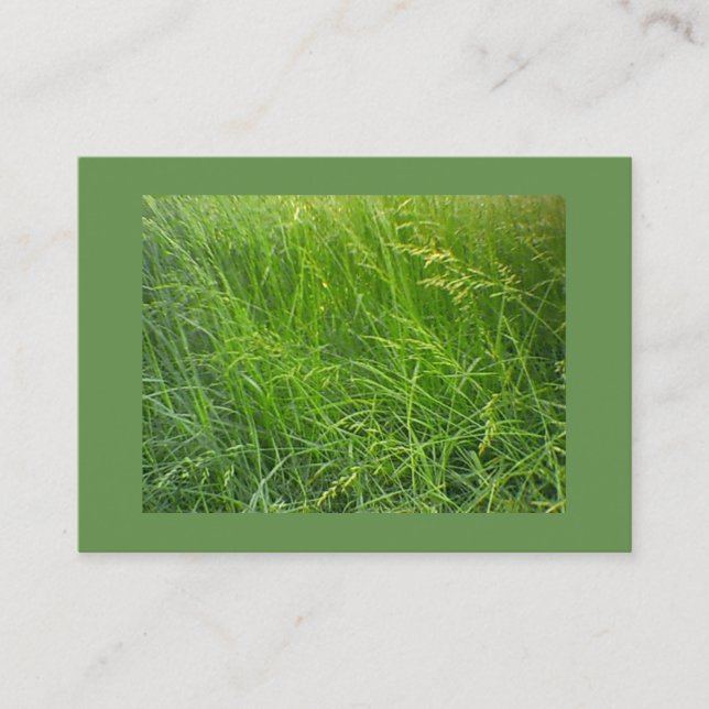 Seeding Fescue Landscaping Visitenkarte (Vorderseite)