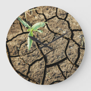 Seedling In Cracked Earth Große Wanduhr