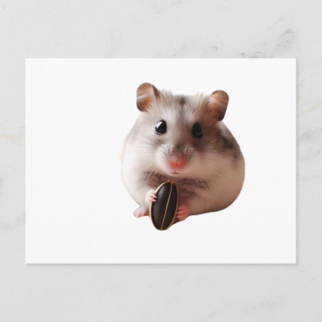 Seeds & Hamsters Postkarte (Vorderseite)