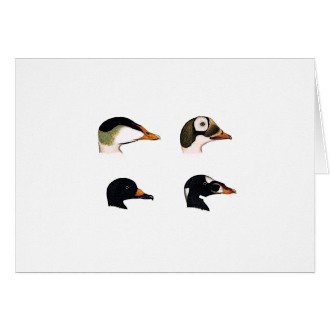 Seeenten-Logo (Vorderseite (Horizontal))