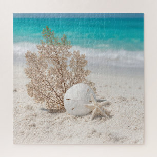 Seefächer mit Sanddollar und Seestern