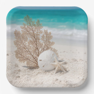 Seefächer mit Sanddollar und Seestern Pappteller