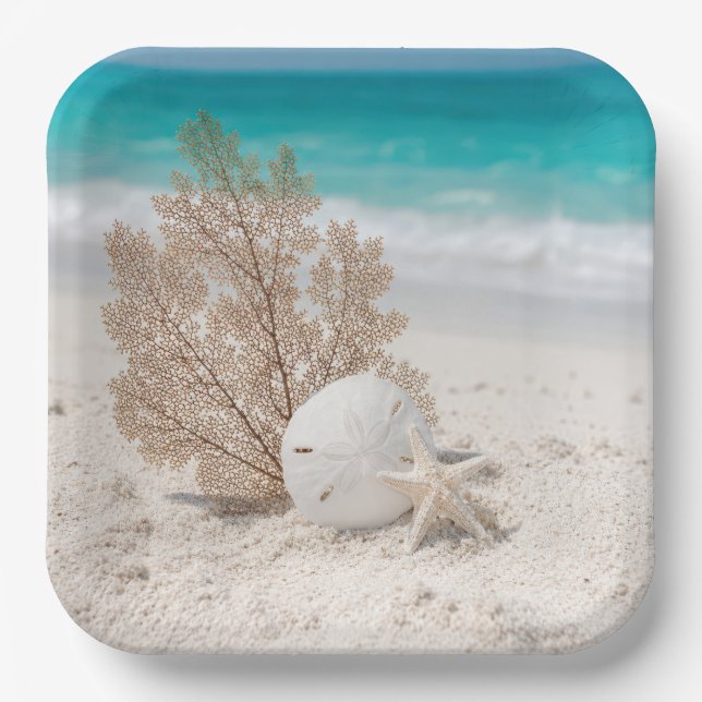 Seefächer mit Sanddollar und Seestern Pappteller (Vorderseite)