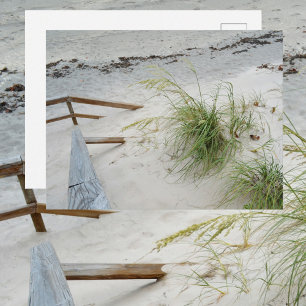 Seegras und weiße Sanddünenstrand-Fotografie Postkarte