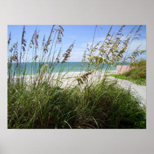 Seegräser Poster