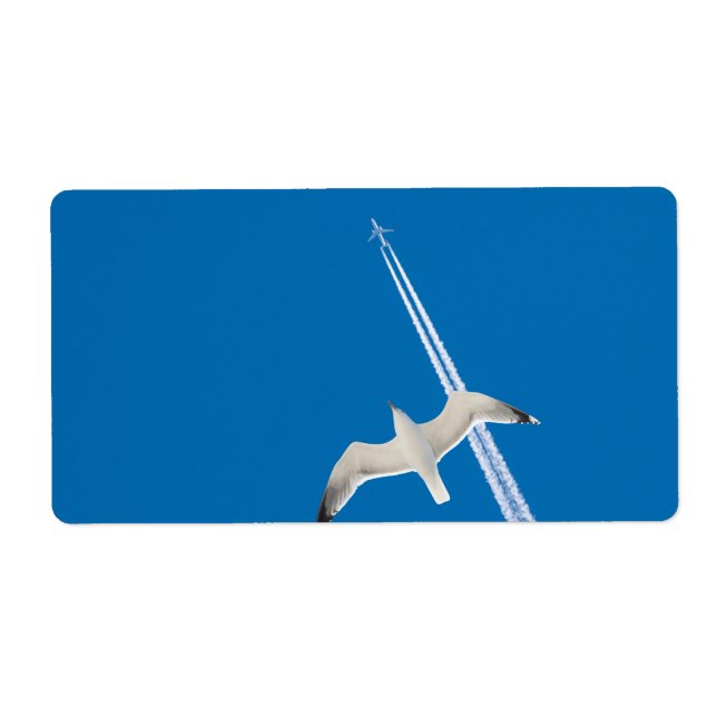 Seegrund und (Vorne)