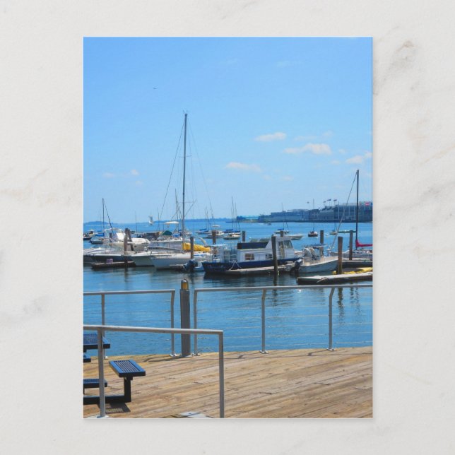 Seehafen SailBoats Seeblick Boston City Postkarte (Vorderseite)