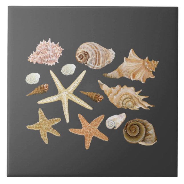 Seehecht aus verschiedenen Muscheln Fliese (Vorderseite)