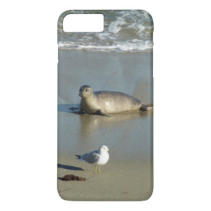 Seehund in La Jolla Kalifornien Case-Mate iPhone Hülle