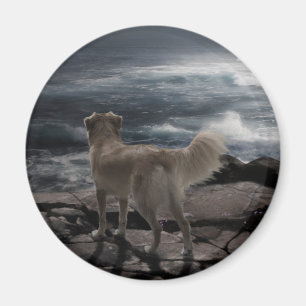 Seehund Magnet